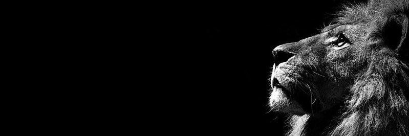 ajgmandy3's profile banner image