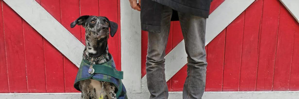 Christian Cotroneo banner