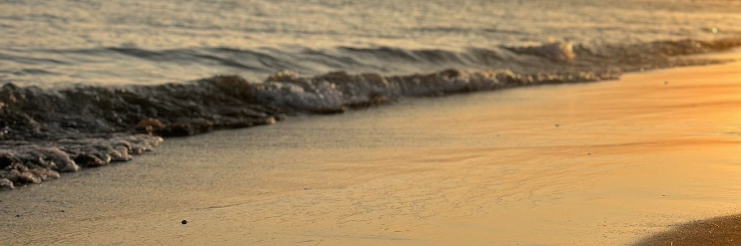 burcubuyukekn's profile banner image