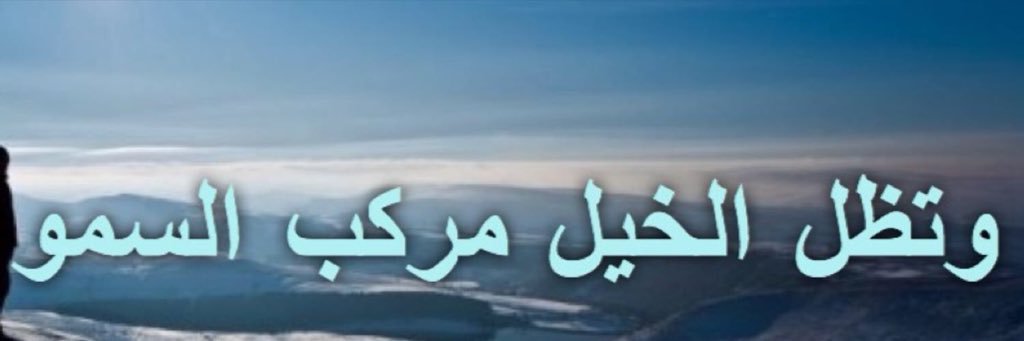 alialouda's profile banner image