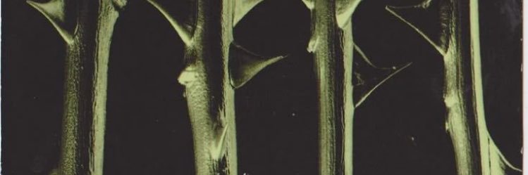 chloe_bbby's profile banner image