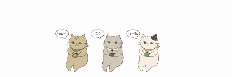 shanffy_jp's profile banner image