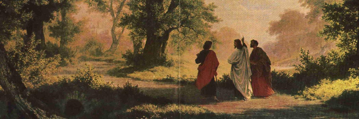 Sr. Miriam James's banner