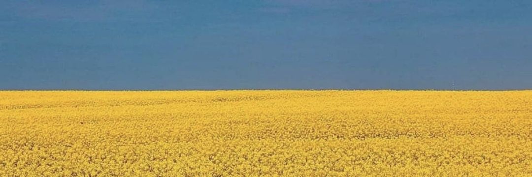 gavc52's profile banner image
