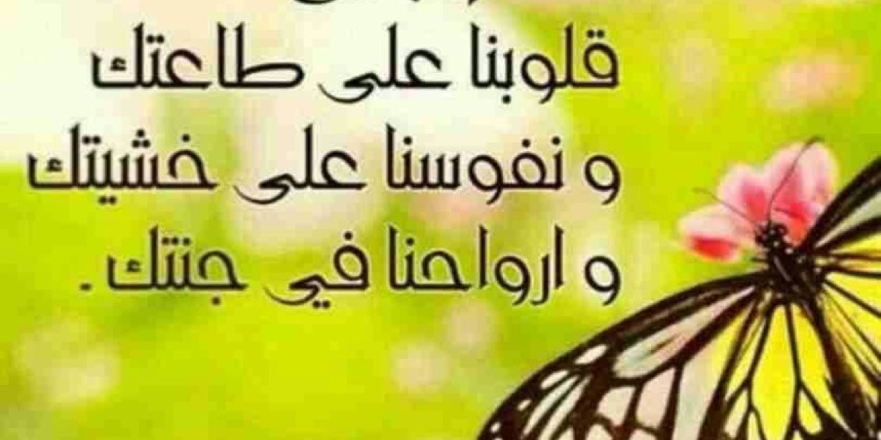 emad_aleze's profile banner image