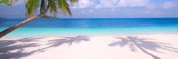 AnushilonS65076's profile banner image