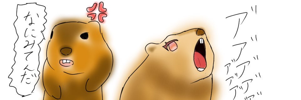 あやたるの🦫 banner