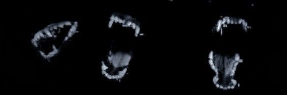 - - - Smiley ✂️- - - banner