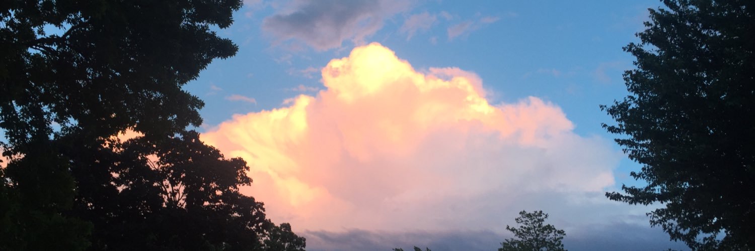 ShannonRFarrell's profile banner image