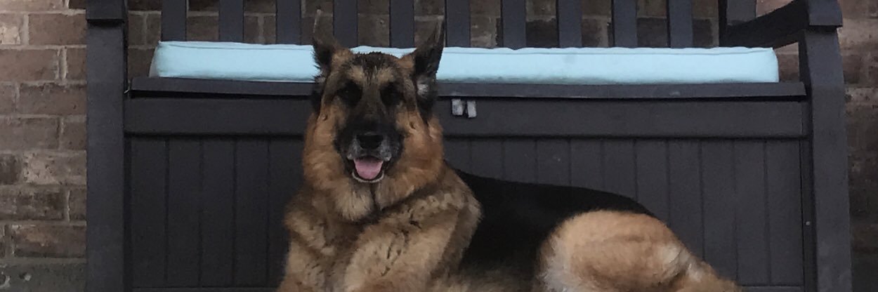 Zedwig's profile banner image