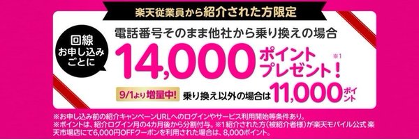 CBR250_X Profile Banner