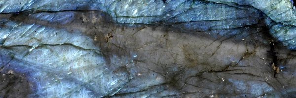 living_on_spite Profile Banner