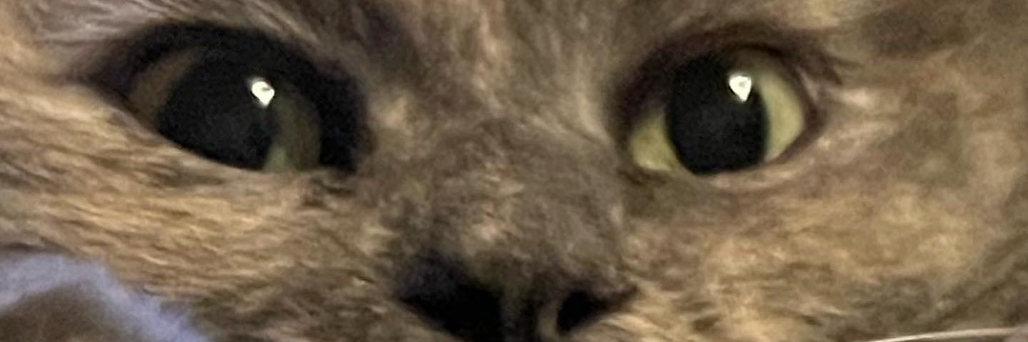 XxCelia98's profile banner image