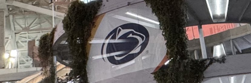 Michelle banner