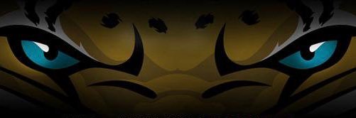 Dawgsbaseball2's profile banner image