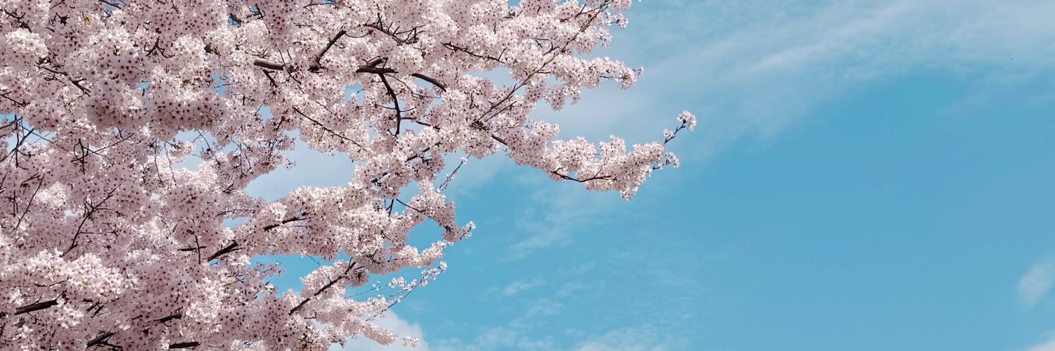 秋冬 banner