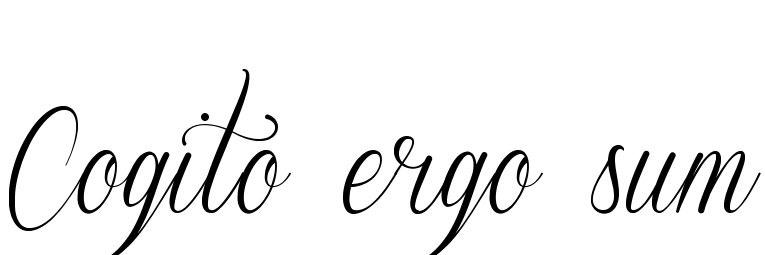 Valentino Graci banner