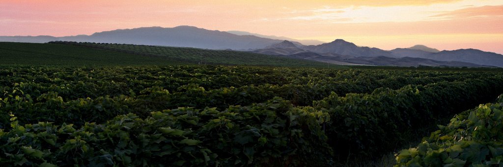 Cal Fresh Fruit banner