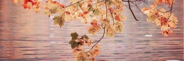 VilarrubiasB Profile Banner