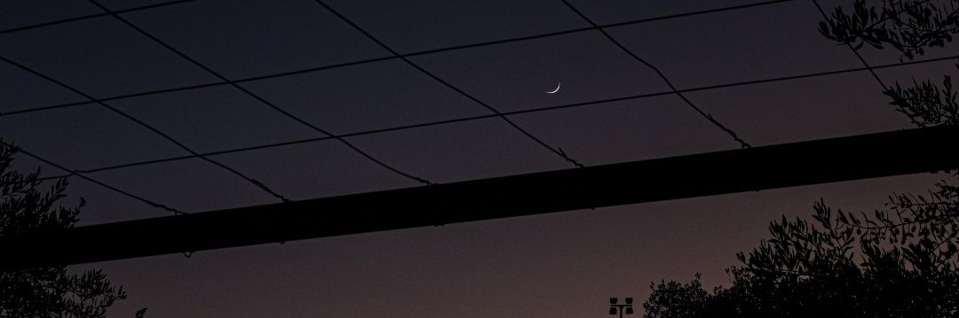 AlaaZeina0's profile banner image