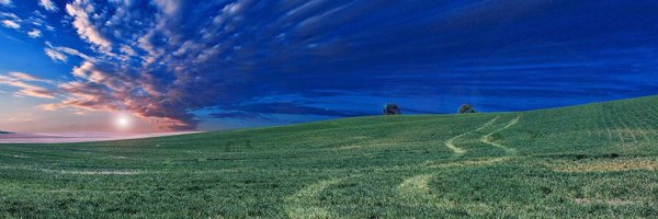 helmshart Profile Banner