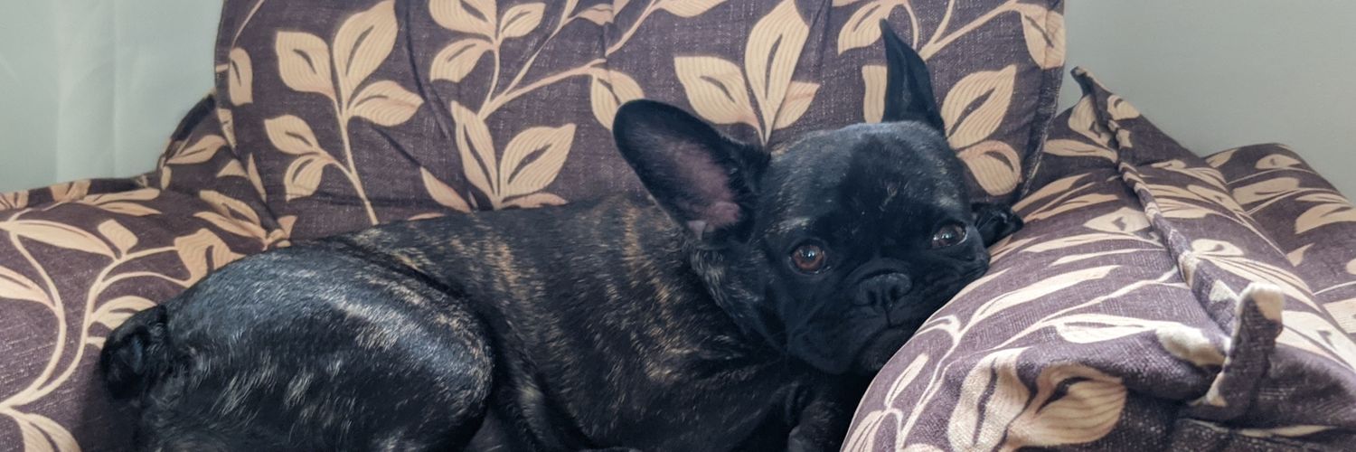 filipemedd's profile banner image