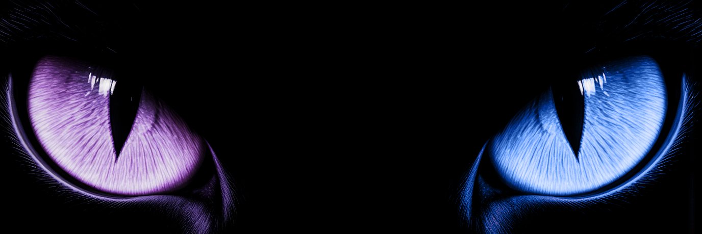 NullTrace's banner