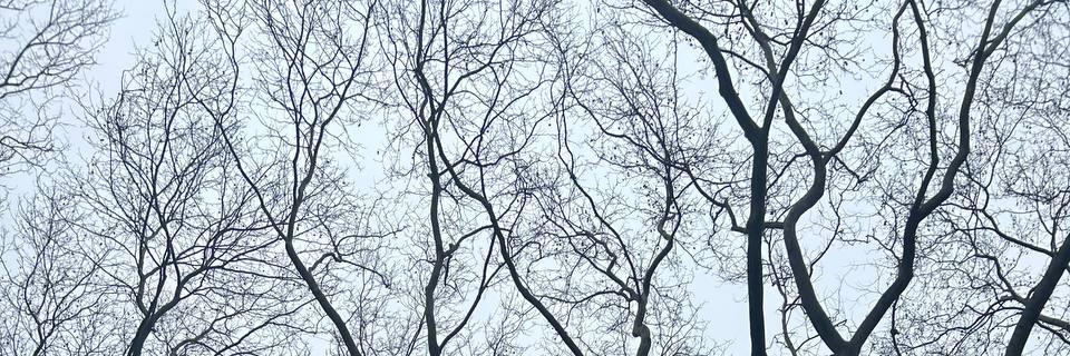 Opinions.•° banner