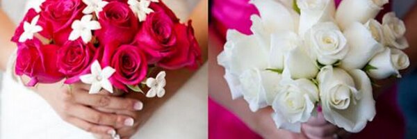 TotallyFlawless Profile Banner