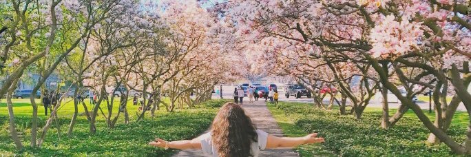 Bahaar Sachdeva banner