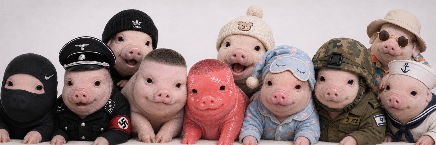 WiggerPigletSol's profile banner image