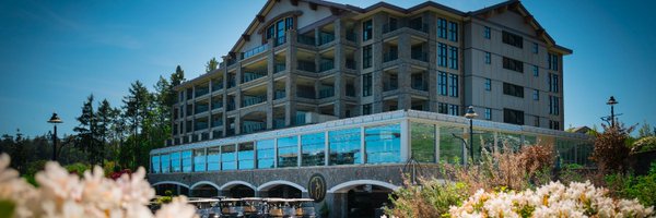 BearMountain Profile Banner