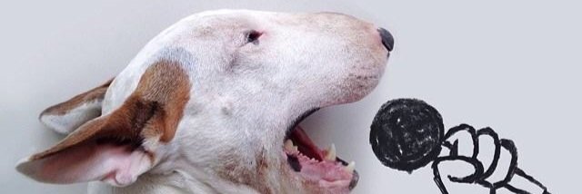 evacembellin's profile banner image