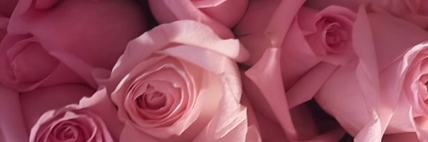 asiathefreakk Profile Banner