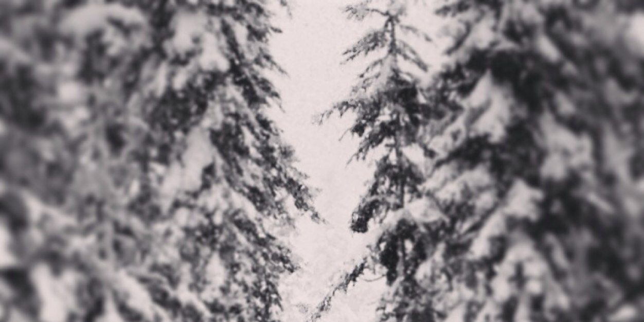 steffans's profile banner image