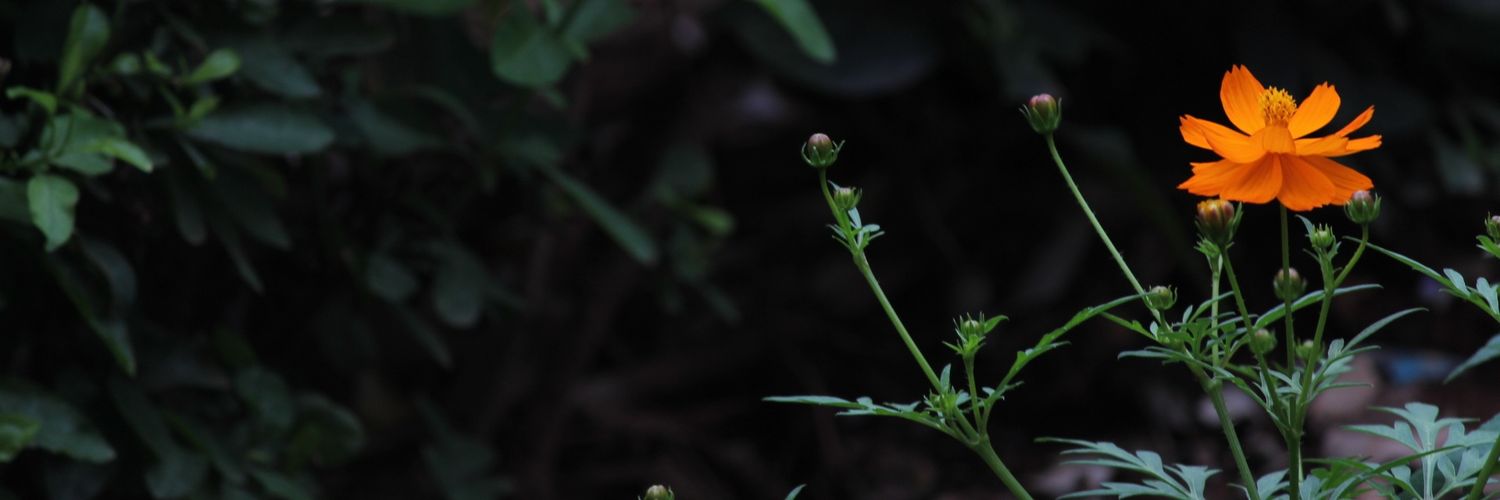 him_22990's profile banner image