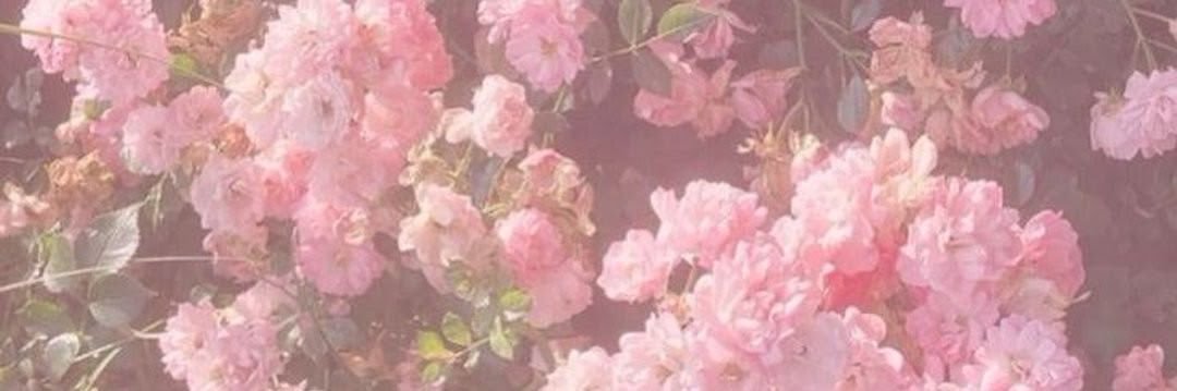 lia 🌸 | not spoiler free banner