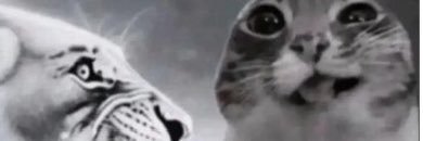 aifv08's profile banner image