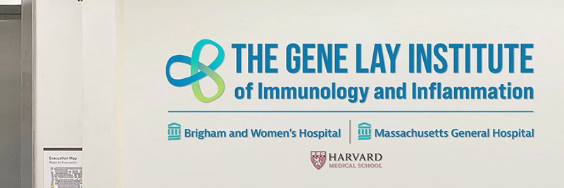 Gene Lay Institute of Immunology & Inflammation's banner