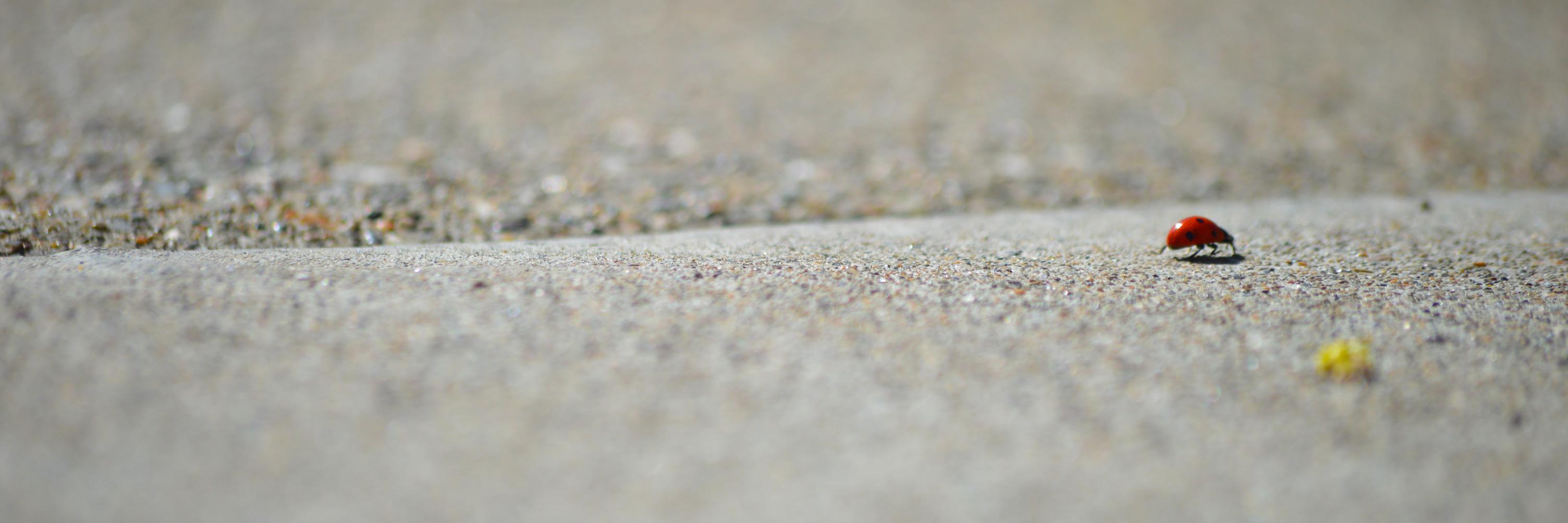 lclaymac's profile banner image