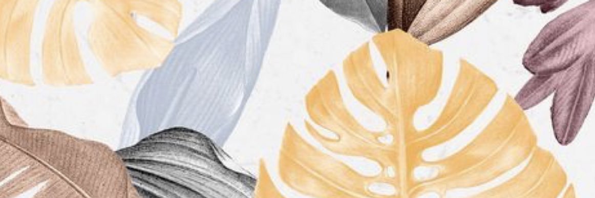 SainzSuni's profile banner image