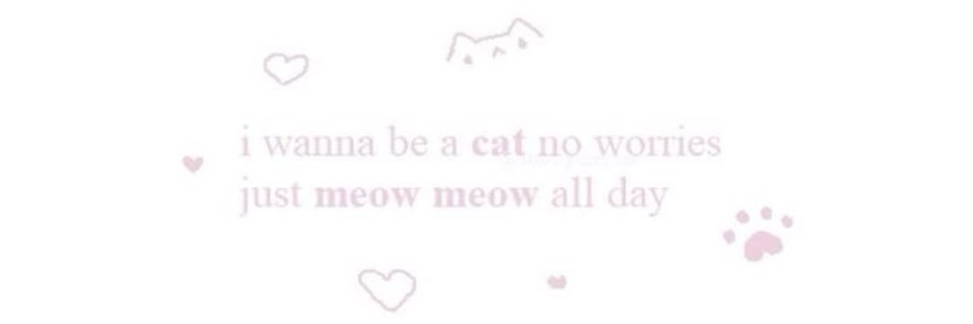 kitty banner