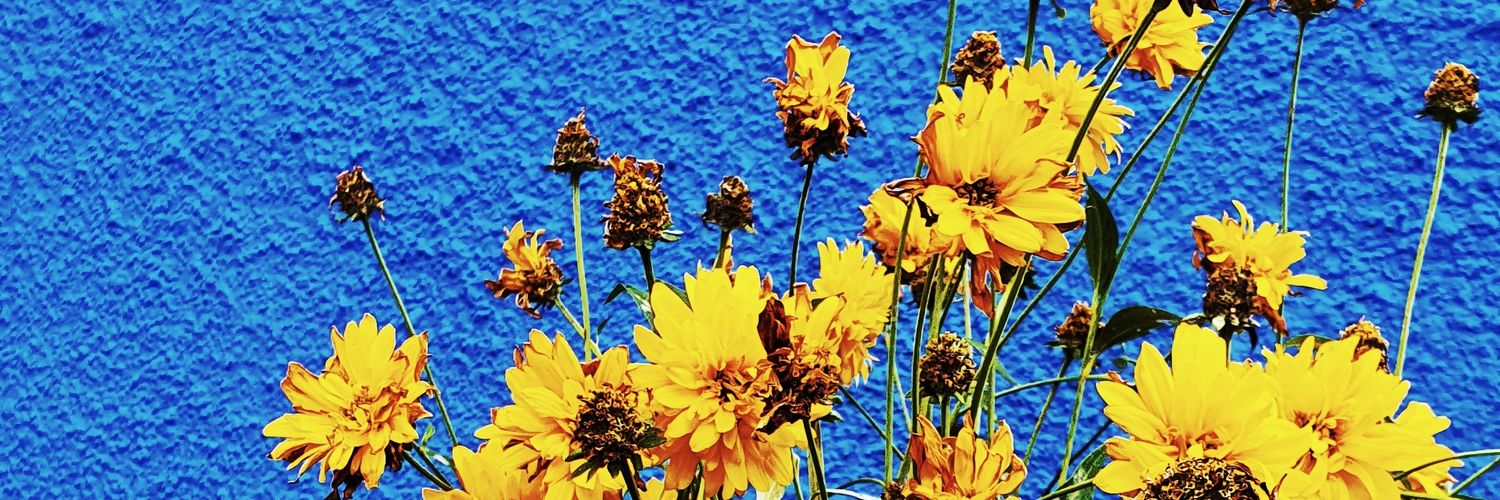 xkillercookie's profile banner image