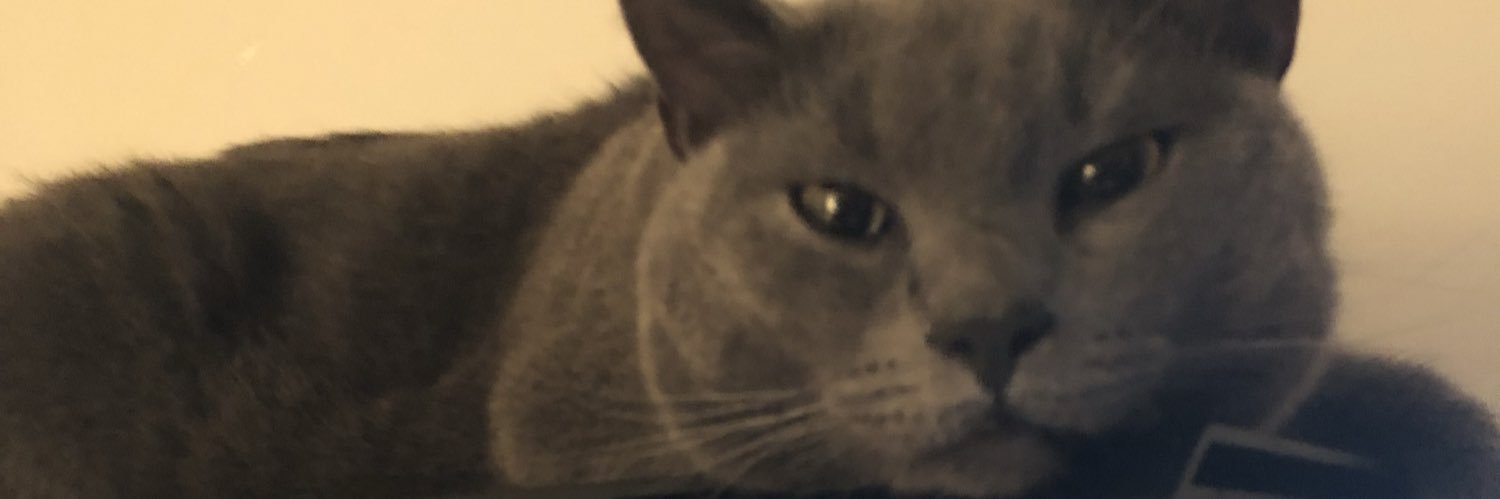ffensive's profile banner image