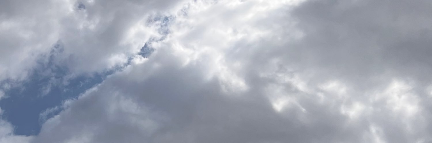 mops|| FEMRiddleRoseheartsEnjoyer banner