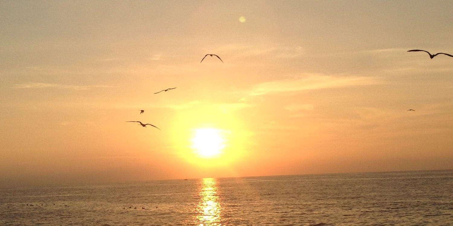 baileyschroeder's profile banner image
