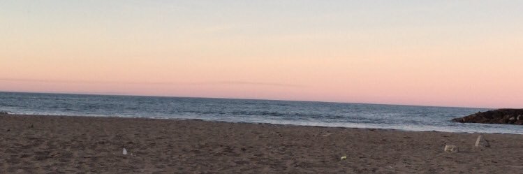 MartinaAsnard_'s profile banner image