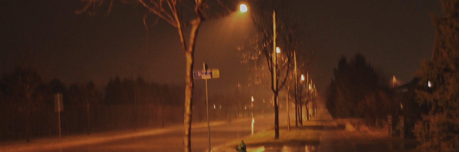 AhrensEmily's profile banner image