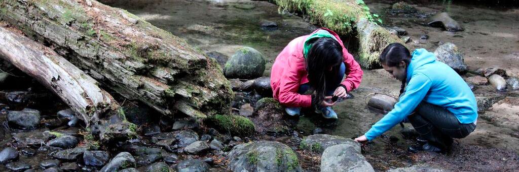 SalmonWatch's profile banner image
