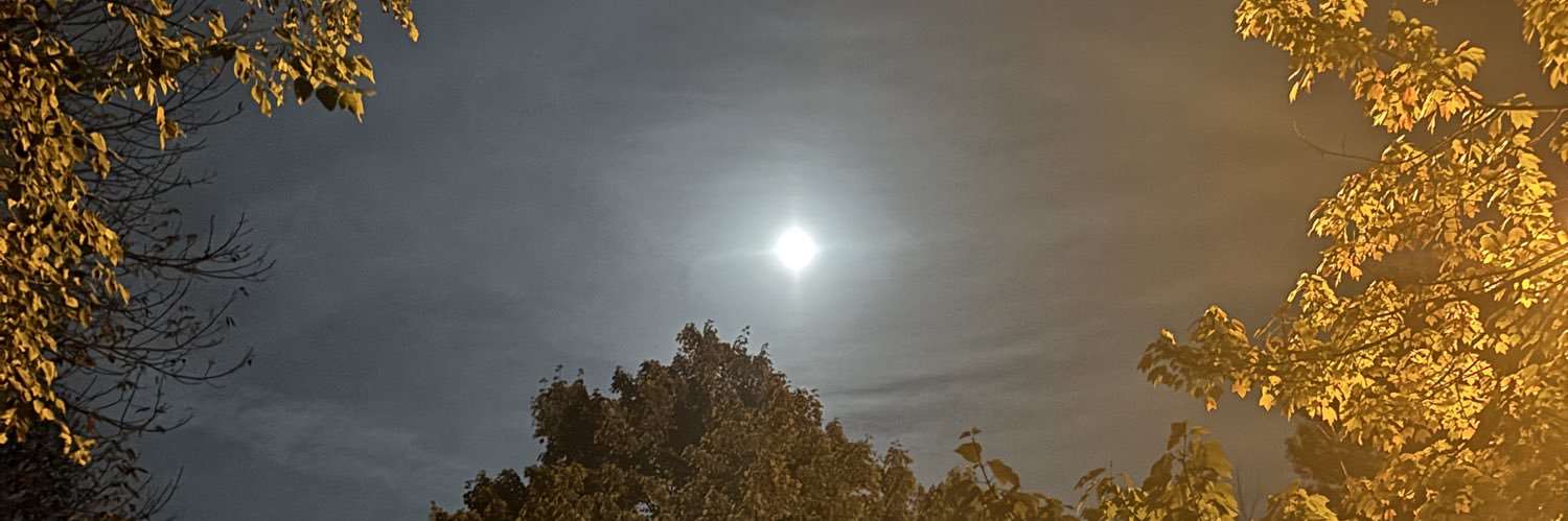 KearneySam39340's profile banner image